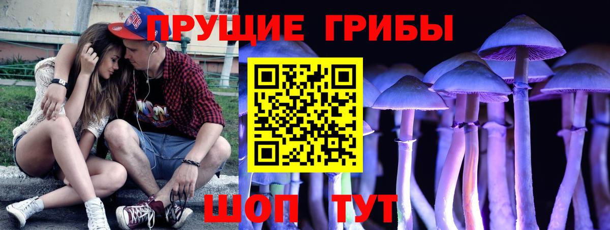 купить наркотики сайты  Галлюциногенные грибы Psilocybine cubensis  Геленджик  Вход с VPN  Псилоцибиновые грибы Cubensis 