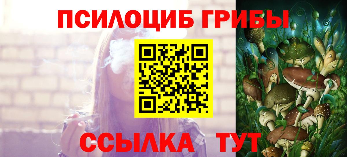 Галлюциногенные грибы Psilocybine cubensis Геленджик